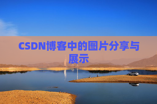 CSDN博客中的图片分享与展示
